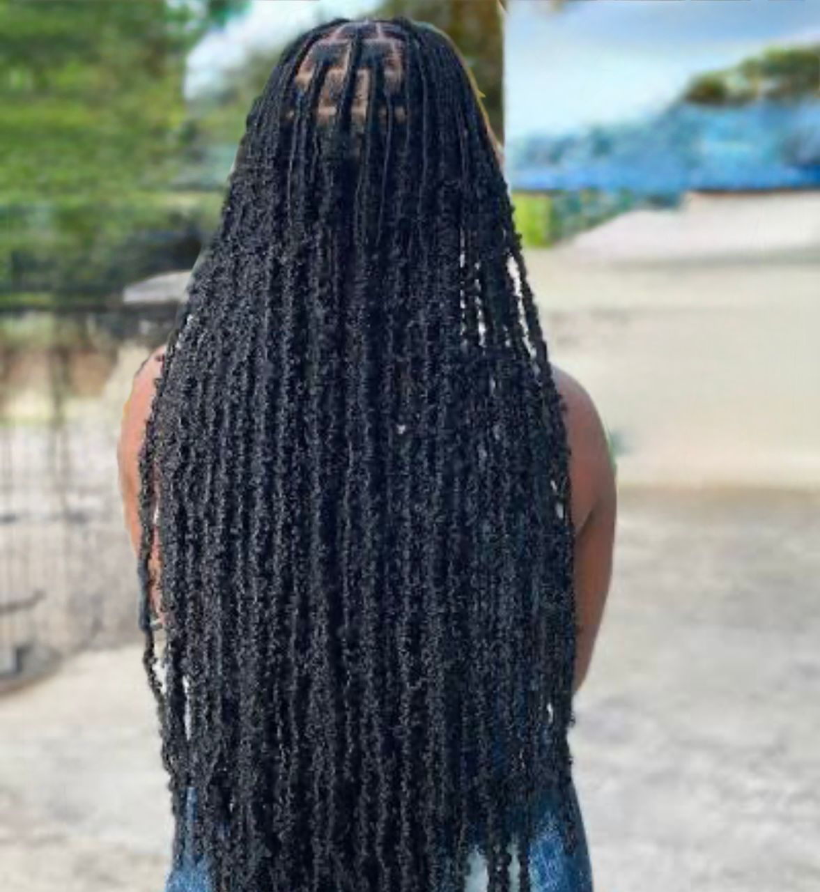 Butterfly Locks Medium