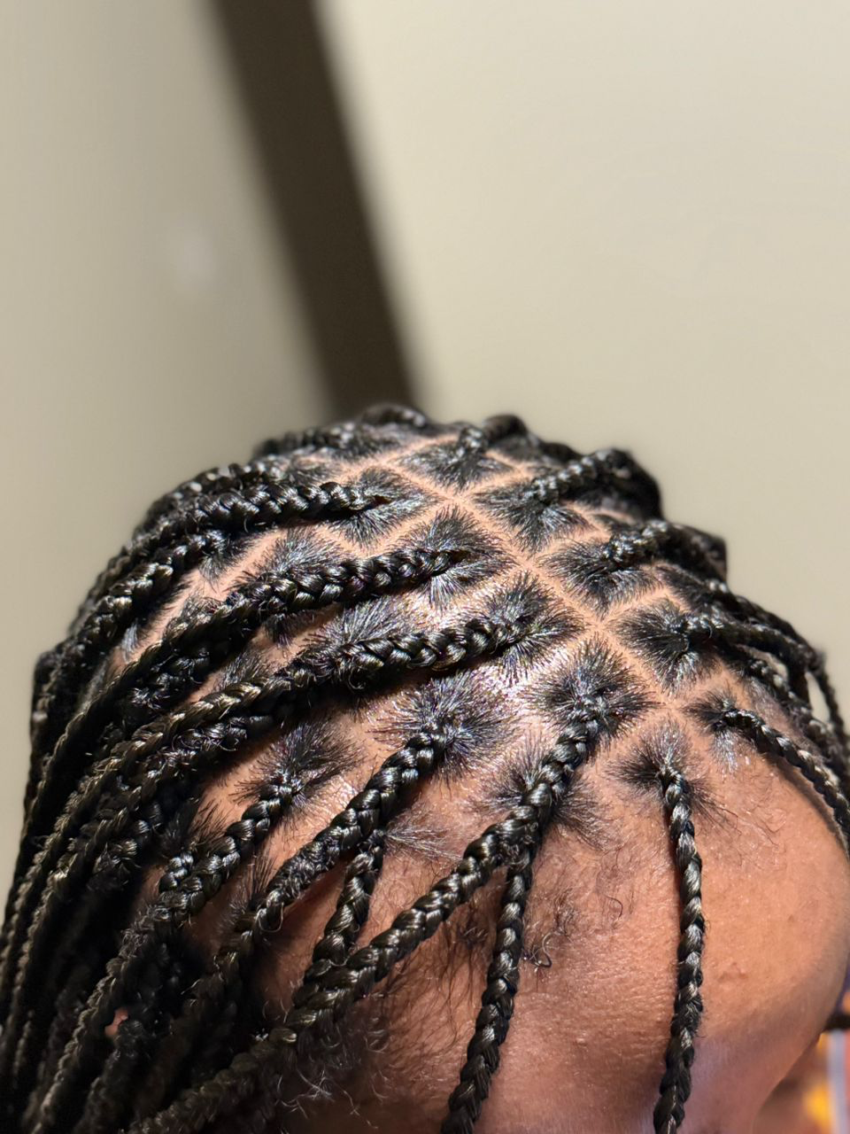 Small Knotless Braids
